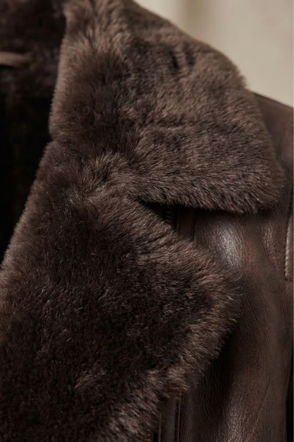 Shearling-lined elegance | Leather jacket