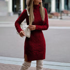 Women’s Knit Sweater Dress Turtleneck Cable Texture Fitted Style
